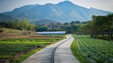 廣州周邊游白山村：帽峰山下的美麗鄉村，首屆“金豐嘉年華”等你來探索！
