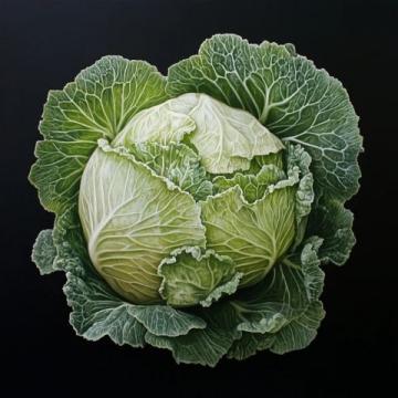 最終解密：被東北人惦記一整年的大白菜，原來是這么回事！
