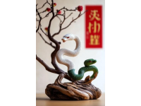 蛇年玄學(xué)指南：避免這些禁忌讓你運(yùn)勢(shì)翻倍！