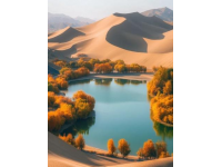石家莊坐地鐵去正定，觀賞滹沱河秋韻風景，體驗云南洱海胡楊林的味道