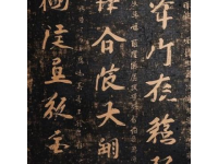早些年，當(dāng)我初次聽(tīng)到海月之名時(shí)，我覺(jué)得有點(diǎn)不可思議,古人竟然把這樣蘊(yùn)含詩(shī)意的名