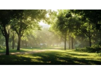 初夏午后,我走進(jìn)一個(gè)充滿陽(yáng)光和綠色的地方...