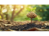 普通人如何通過反常識方法突破成長瓶頸？認(rèn)知覺醒給出答案