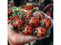 黑龍江夜市驚現創意小吃：辣味與瓜子的奇妙結合