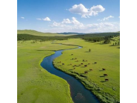 內蒙古特色美食：牛羊肉奶食文化，融合多民族風味一覽無余