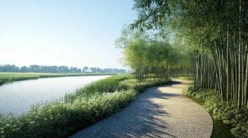 探訪武漢藏龍島濕地公園：秋日騎行與自然漫步之旅