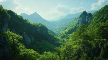 天臺之旅: 一位當(dāng)?shù)厝说男谐讨改? width=