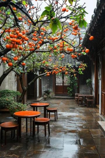 棗莊：探尋兩千年的石榴文化底蘊與城市魅力