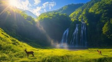 暑假好去處：文成縣山水風光與清涼瀑布之旅