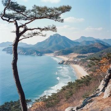 探索華東純凈海濱：東臺黃海森林公園，國家級生態仙境之旅