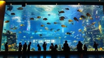 關(guān)于我在新加坡水族餐廳花了?千塊