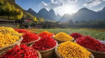 廣西五地風(fēng)味各異，桂北至桂西，品嘗八大特色美食區(qū)