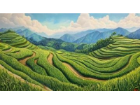 晨曦中的田園夢境：桂林陽朔-龍脊梯田深度游歷記
