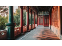 早春探秘：頤和園初醒的寧靜之美