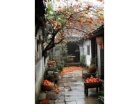 棗莊：探尋兩千年的石榴文化底蘊(yùn)與城市魅力