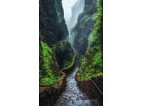 武夷山景區(qū)必知避坑攻略