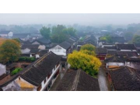 烏鎮街古色古香的美味與江南風情