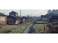 亳州“毫”音誤讀現(xiàn)象普遍，本地特色地名引關(guān)注