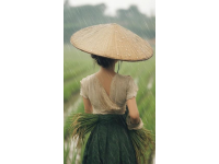 鄉(xiāng)村生活美學(xué)：詩(shī)意日常，打造高級(jí)感的儀式之美