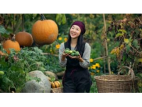 趙縣美食探秘：家鄉(xiāng)蒸菜的傳統韻味與創(chuàng)新之旅
