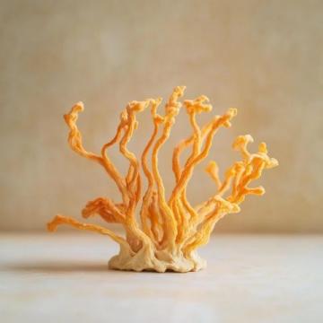 尖叫蘿卜皮|嘎嘣脆,口感脆爽又開胃,配方標(biāo)準(zhǔn),細(xì)節(jié)技巧無保留分享