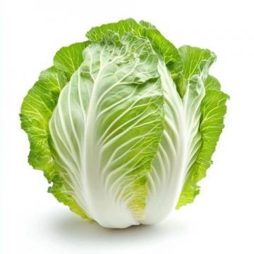 酸菜是一種非常百搭的食材，不同地區和文化中都有獨特的吃法