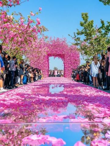圣誕節(jié)探訪花都昆明：商業(yè)區(qū)盛宴、公園歡歌及必游景點(diǎn)推薦