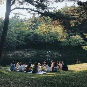 80后安徽農村童年：野炊趣事與田野里的自然美味