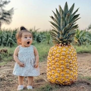 南寧人夏天愛吃水果撈你平時怎么吃？