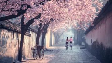 湖南常德桃花源：融合自然美景與歷史文化的神秘勝地