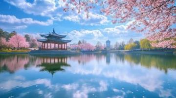 探尋國(guó)內(nèi)櫻花盛宴:精選賞櫻路線推薦盤點(diǎn)