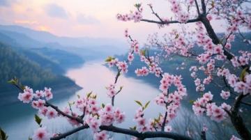 湖南常德桃花源：融合自然美景與歷史文化的神秘勝地