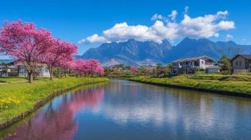 春天必訪：泉州豐澤之旅