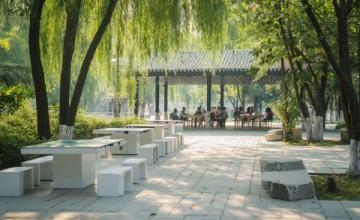 常德3天2晚旅游攻略：動物園、老街與溫泉放松之旅