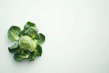 江蘇寶應黑菜的神秘起源及其獨特魅力