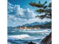 本地人親身經歷：這份東山島旅游攻略，讓你的夏天不留遺憾！