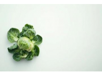 江蘇寶應黑菜的神秘起源及其獨特魅力