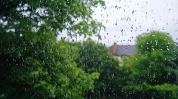暮春時(shí)節(jié)來(lái)的冷雨