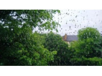 暮春時(shí)節(jié)來(lái)的冷雨