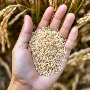 消費升級下的“谷子經濟”：創業新機遇涌現
