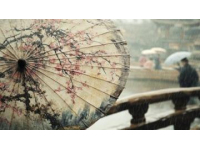 中國風情春色，極致浪漫體驗