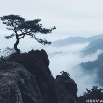朔州游必嘗：應縣木塔與特色涼粉之旅