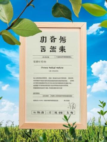 牛背山恢復(fù)開(kāi)園，詳盡攻略奉上