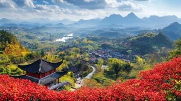 廣西之旅：黃皮果與粉紅豹的奇遇記