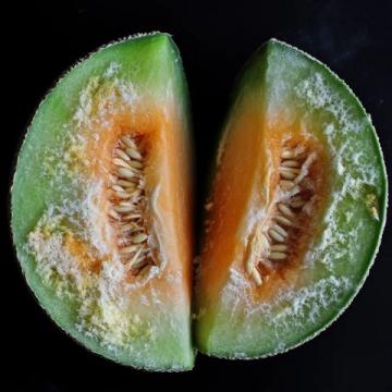 香瓜的甜美背后：一段關(guān)于母愛(ài)與犧牲的回憶