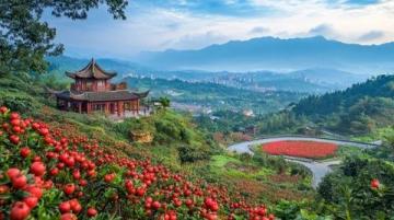 三次邂逅麗水秘境：深度游歷浙江南部全景之旅