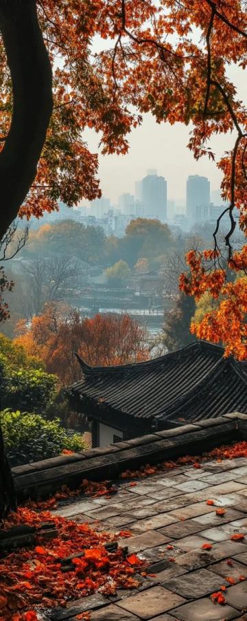10月收官了，昨早出門，今天晚飯前到家了,揚州2日游吧