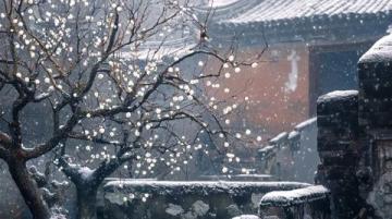 2025年正月十三午間賞古詩(shī)正月十三日韓淲筆下的春雪與梅柳美景