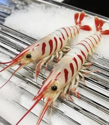 在周水前劉大龍蝦店的美食體驗：小龍蝦、烤串與榴蓮盛宴