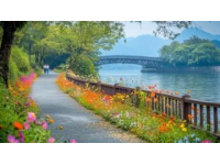 漫步江蘇這座寶藏小城，沉浸式賞花體驗童話之旅